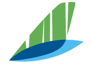 Bamboo Airways